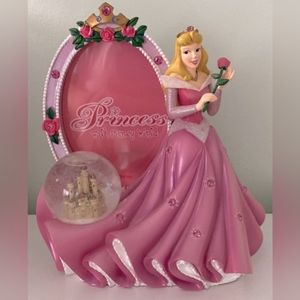 ISO Disney Princess Globe Picture Frames!